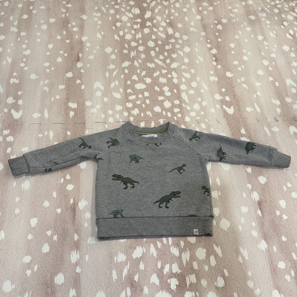 Sovereign Code Boys Dinosaur Sweatshirt Gray Size 18M - Picture 10 of 11
